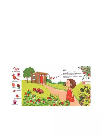 CARLSEN VERLAG | Hör mal (Libro sonoro): I colori | 